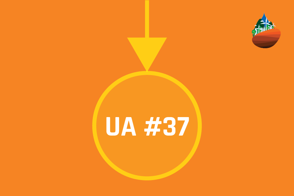 Featured image for “UA / ISSUE 37”