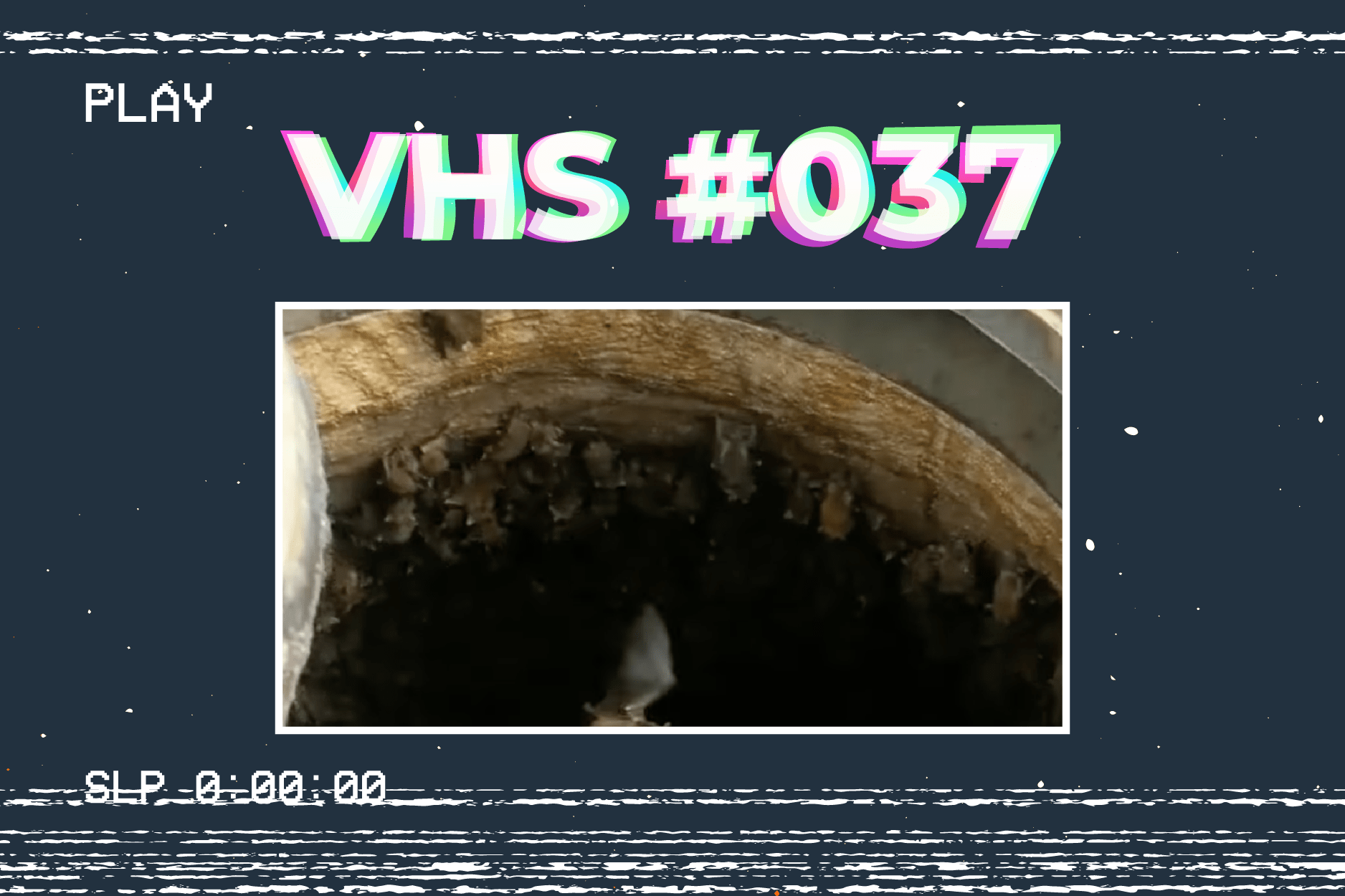 Featured image for “VHS | UTILITY SURVEY BATS”